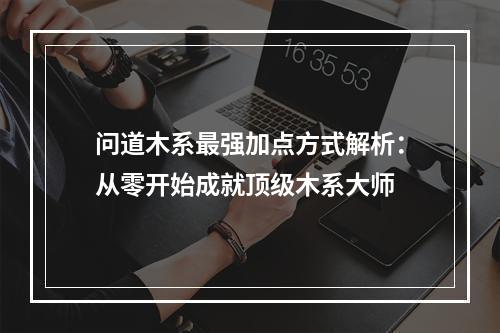 问道木系最强加点方式解析：从零开始成就顶级木系大师