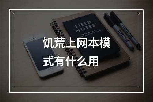 饥荒上网本模式有什么用