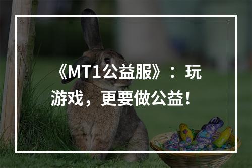 《MT1公益服》：玩游戏，更要做公益！