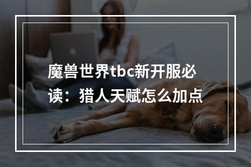 魔兽世界tbc新开服必读：猎人天赋怎么加点