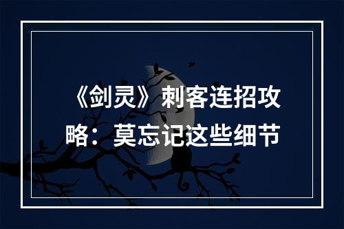 《剑灵》刺客连招攻略：莫忘记这些细节