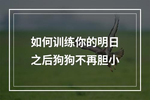 如何训练你的明日之后狗狗不再胆小