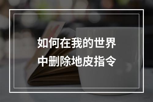 如何在我的世界中删除地皮指令