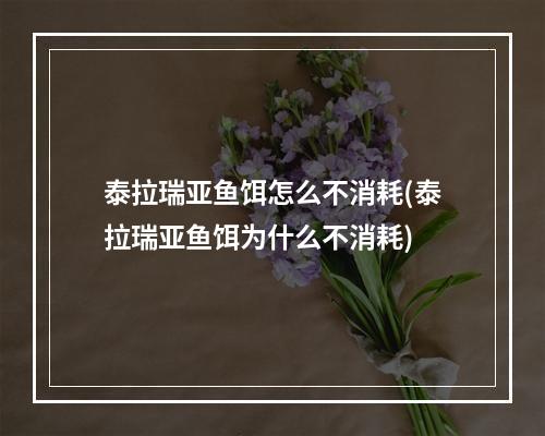 泰拉瑞亚鱼饵怎么不消耗(泰拉瑞亚鱼饵为什么不消耗)