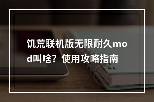 饥荒联机版无限耐久mod叫啥？使用攻略指南