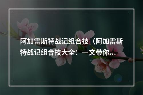 阿加雷斯特战记组合技（阿加雷斯特战记组合技大全：一文带你领略群攻神技）