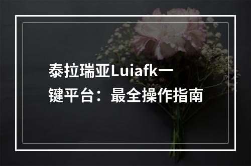 泰拉瑞亚Luiafk一键平台：最全操作指南