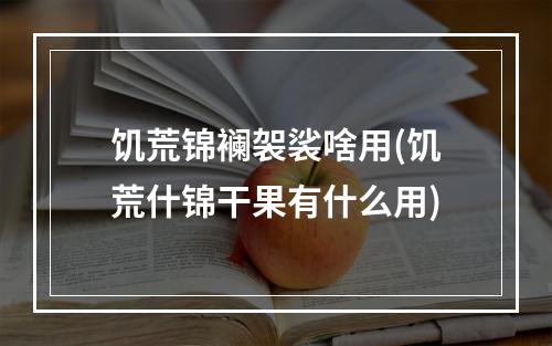 饥荒锦襕袈裟啥用(饥荒什锦干果有什么用)