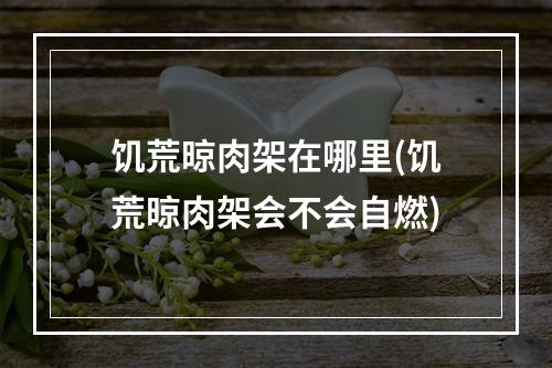 饥荒晾肉架在哪里(饥荒晾肉架会不会自燃)