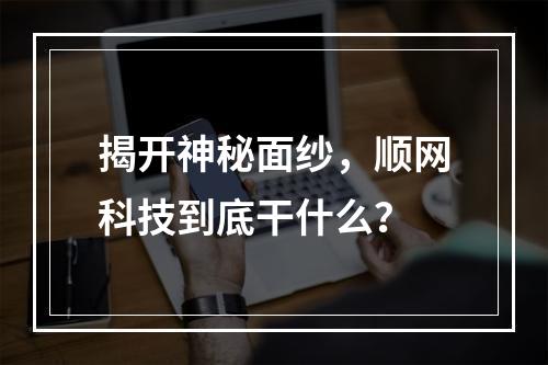 揭开神秘面纱，顺网科技到底干什么？