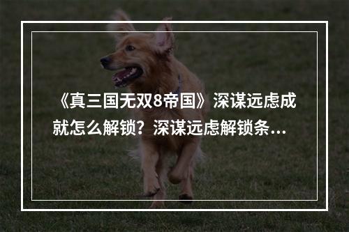 《真三国无双8帝国》深谋远虑成就怎么解锁？深谋远虑解锁条件一览--安卓攻略网