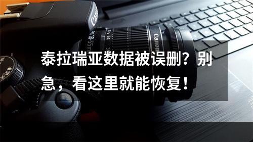 泰拉瑞亚数据被误删？别急，看这里就能恢复！