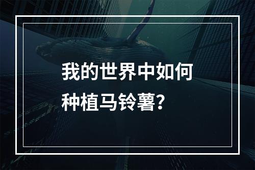 我的世界中如何种植马铃薯？