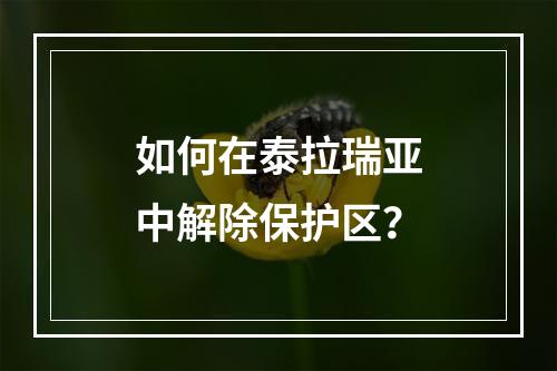 如何在泰拉瑞亚中解除保护区？