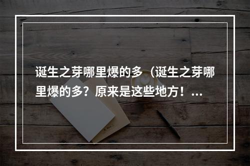 诞生之芽哪里爆的多（诞生之芽哪里爆的多？原来是这些地方！）