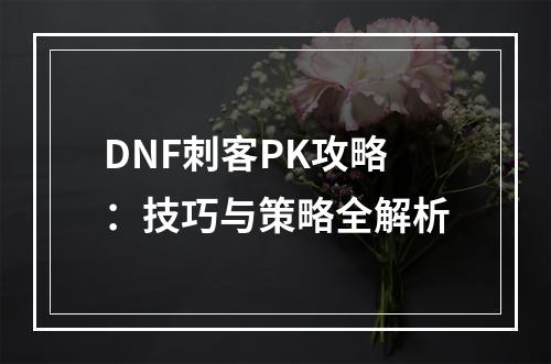 DNF刺客PK攻略：技巧与策略全解析