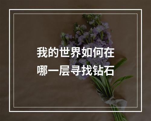 我的世界如何在哪一层寻找钻石