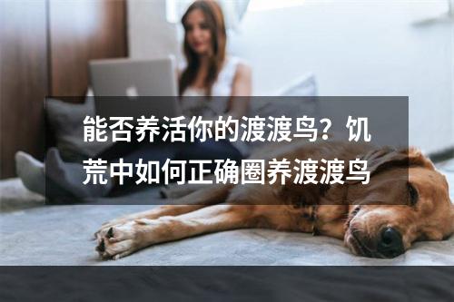 能否养活你的渡渡鸟？饥荒中如何正确圈养渡渡鸟