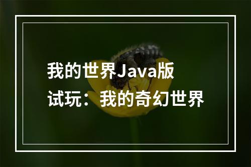 我的世界Java版试玩：我的奇幻世界