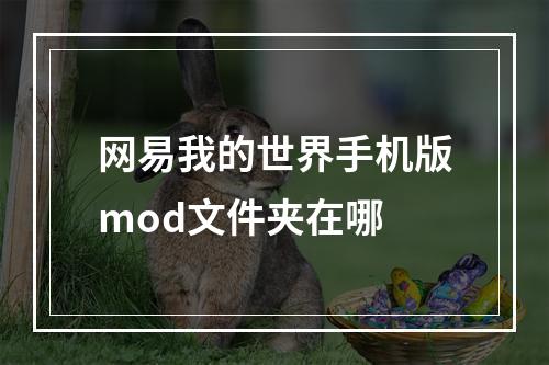 网易我的世界手机版mod文件夹在哪