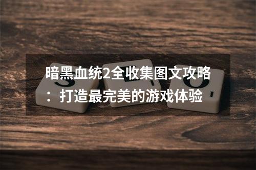 暗黑血统2全收集图文攻略：打造最完美的游戏体验