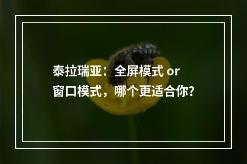 泰拉瑞亚：全屏模式 or 窗口模式，哪个更适合你？