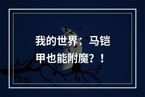 我的世界：马铠甲也能附魔？！