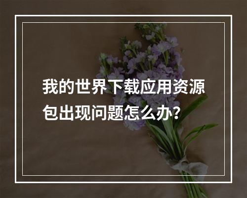 我的世界下载应用资源包出现问题怎么办？