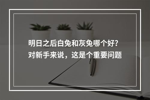 明日之后白兔和灰兔哪个好？对新手来说，这是个重要问题