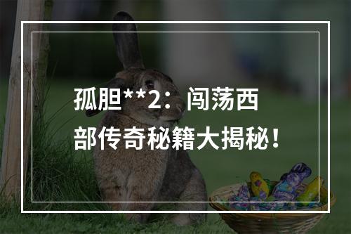 孤胆**2：闯荡西部传奇秘籍大揭秘！