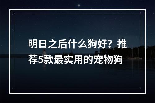 明日之后什么狗好？推荐5款最实用的宠物狗