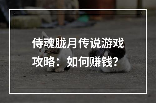 侍魂胧月传说游戏攻略：如何赚钱？