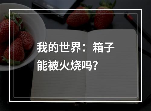 我的世界：箱子能被火烧吗？