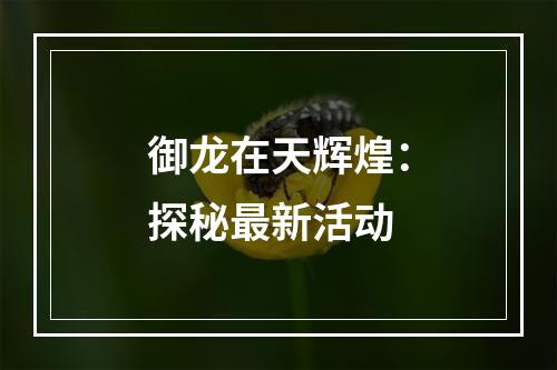 御龙在天辉煌：探秘最新活动