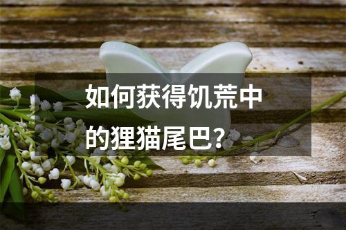 如何获得饥荒中的狸猫尾巴？