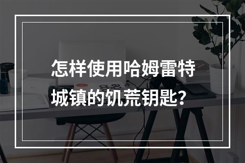 怎样使用哈姆雷特城镇的饥荒钥匙？