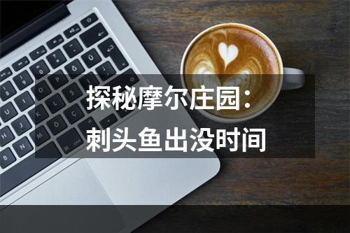 探秘摩尔庄园：刺头鱼出没时间