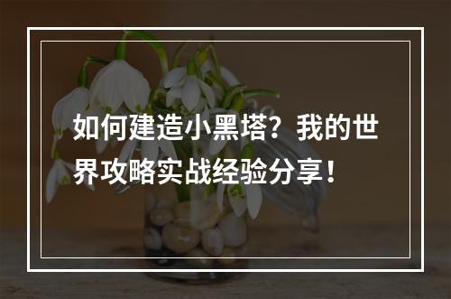 如何建造小黑塔？我的世界攻略实战经验分享！