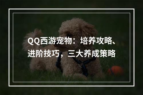 QQ西游宠物：培养攻略、进阶技巧，三大养成策略