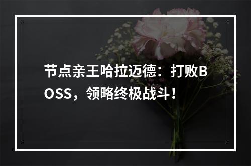 节点亲王哈拉迈德：打败BOSS，领略终极战斗！