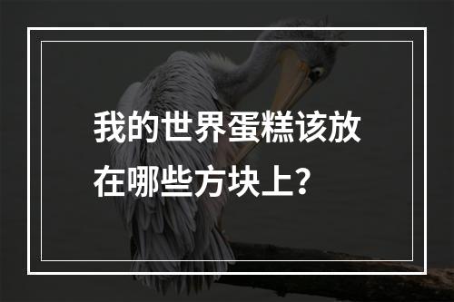 我的世界蛋糕该放在哪些方块上？