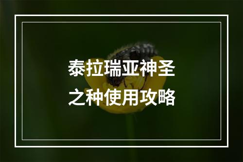 泰拉瑞亚神圣之种使用攻略