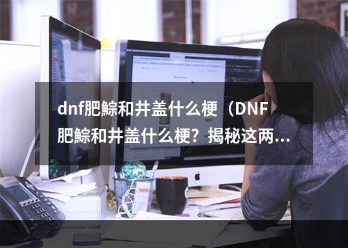 dnf肥鯮和井盖什么梗（DNF肥鯮和井盖什么梗？揭秘这两个神奇名词！）