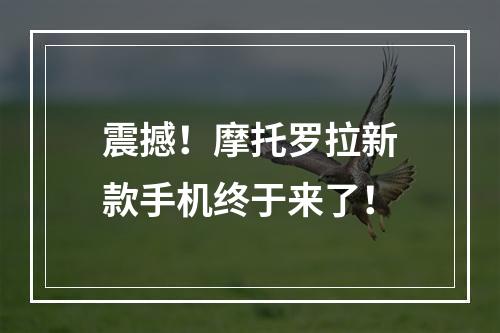 震撼！摩托罗拉新款手机终于来了！