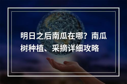 明日之后南瓜在哪？南瓜树种植、采摘详细攻略