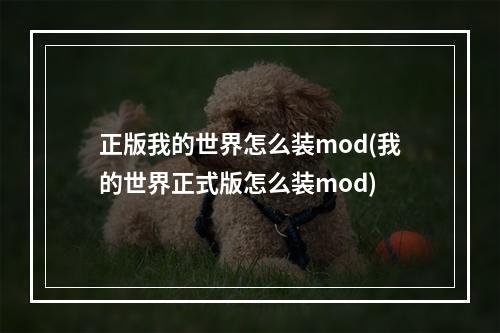 正版我的世界怎么装mod(我的世界正式版怎么装mod)