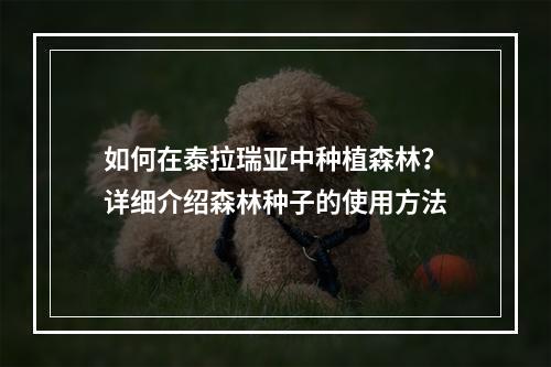 如何在泰拉瑞亚中种植森林？详细介绍森林种子的使用方法