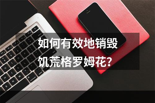 如何有效地销毁饥荒格罗姆花？