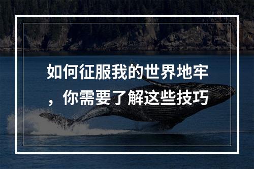 如何征服我的世界地牢，你需要了解这些技巧