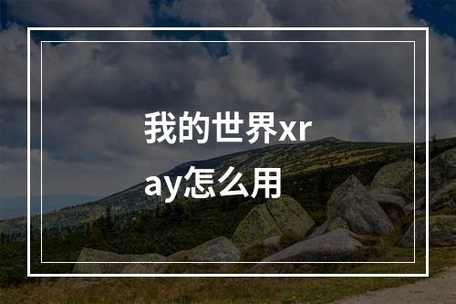 我的世界xray怎么用